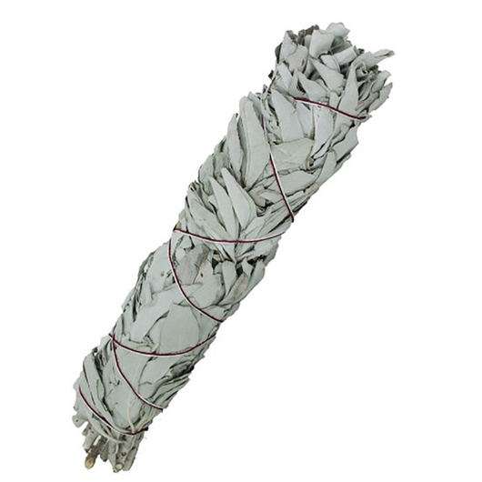 SALTCO Organic Smudge Stick, Californian White Sage - 14cm